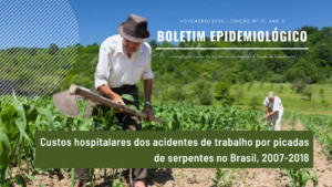 Leia mais sobre o artigo Boletim Epidemiológico | Custos hospitalares dos acidentes de trabalho por picadas de serpentes no Brasil, 2007-2018